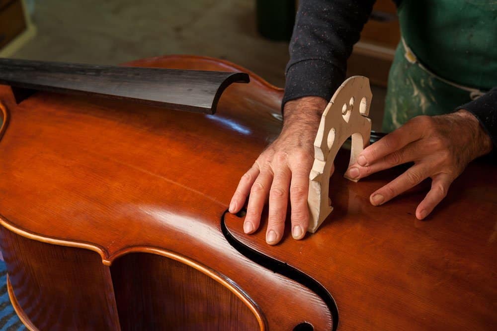 Cuidar un Violonchelo 7