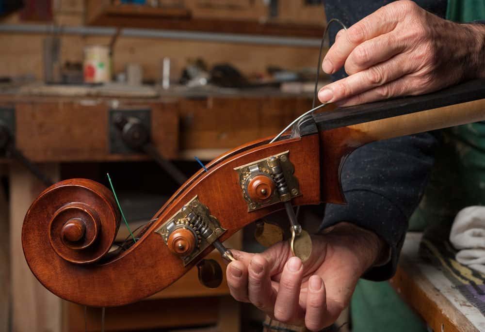 Cuidar un Violonchelo 6