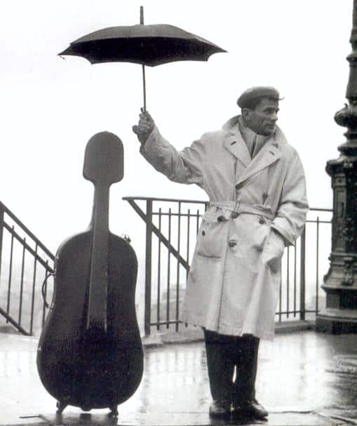 como cuidar un violonchelo 2