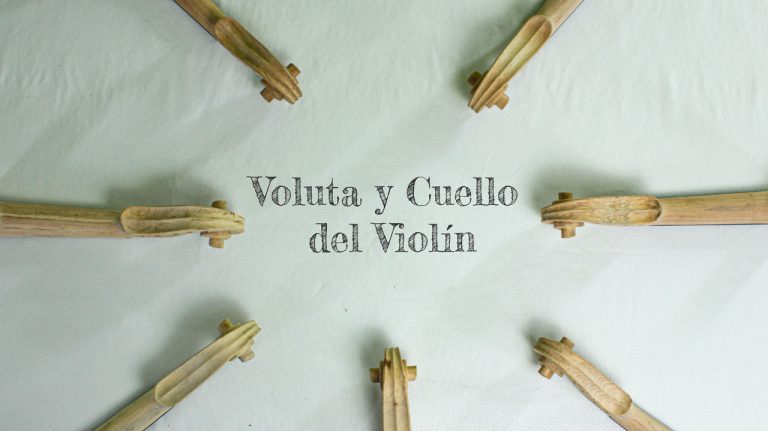 El Cuello y la Voluta del Violín